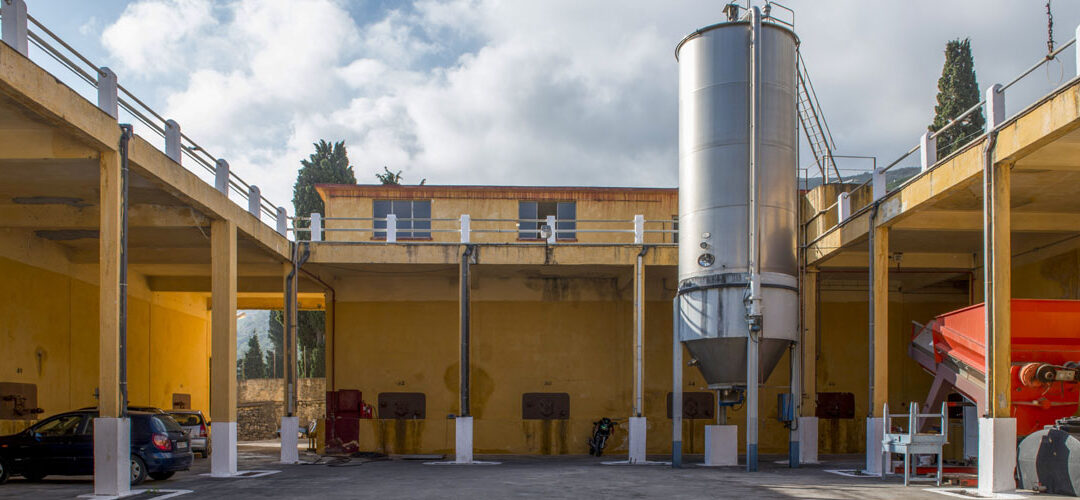 The modern winemaking process