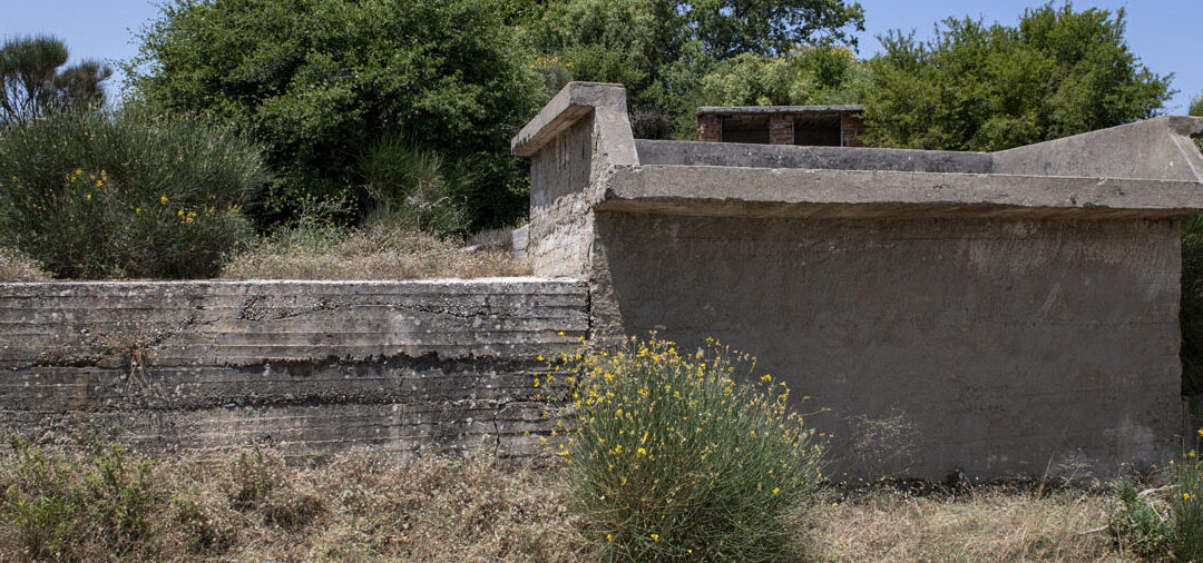 Stafylodochos in the Syrracho area, Vourliotes