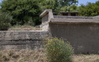 Stafylodochos in the Syrracho area, Vourliotes