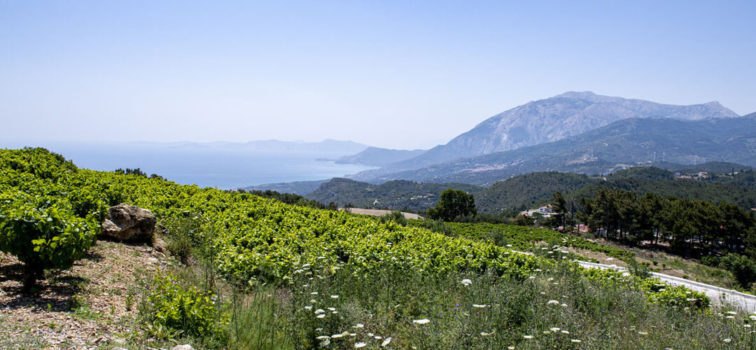 Panoramablick von Platanos aus