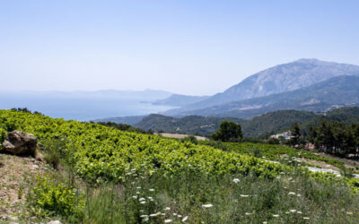 Panoramablick von Platanos aus