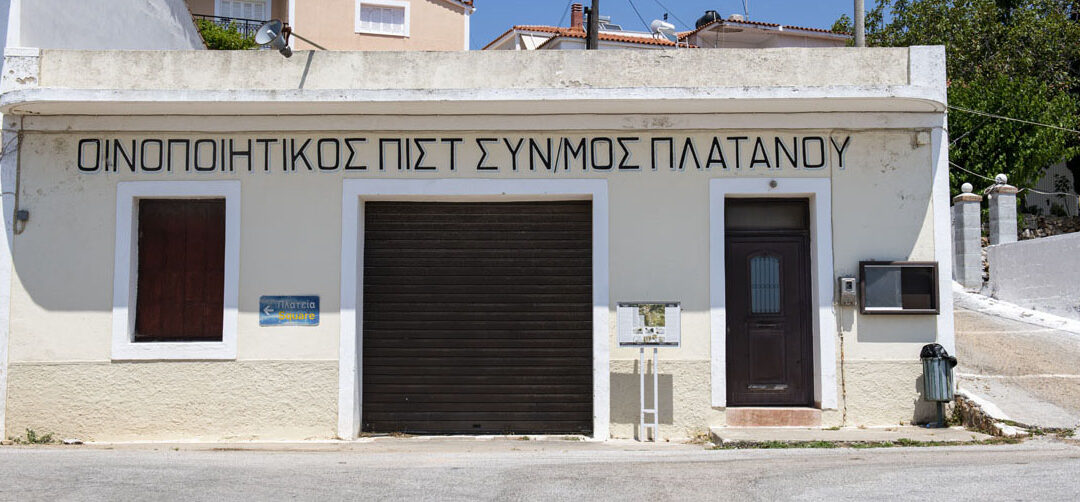 Συνεταιρισμός Πλατάνου