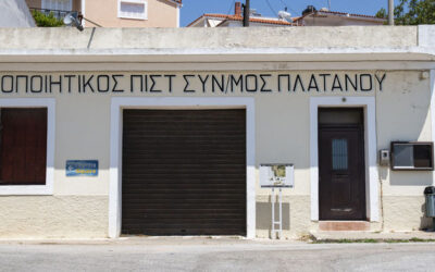 Συνεταιρισμός Πλατάνου