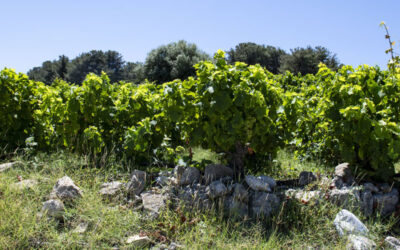 Panoramic view of Megali Lakka, Konteika