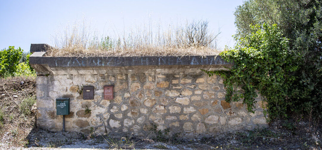 Trauben-Sammelplatz in der Gegend von Vlachates, Idrousa