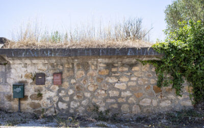 Trauben-Sammelplatz in der Gegend von Vlachates, Idrousa