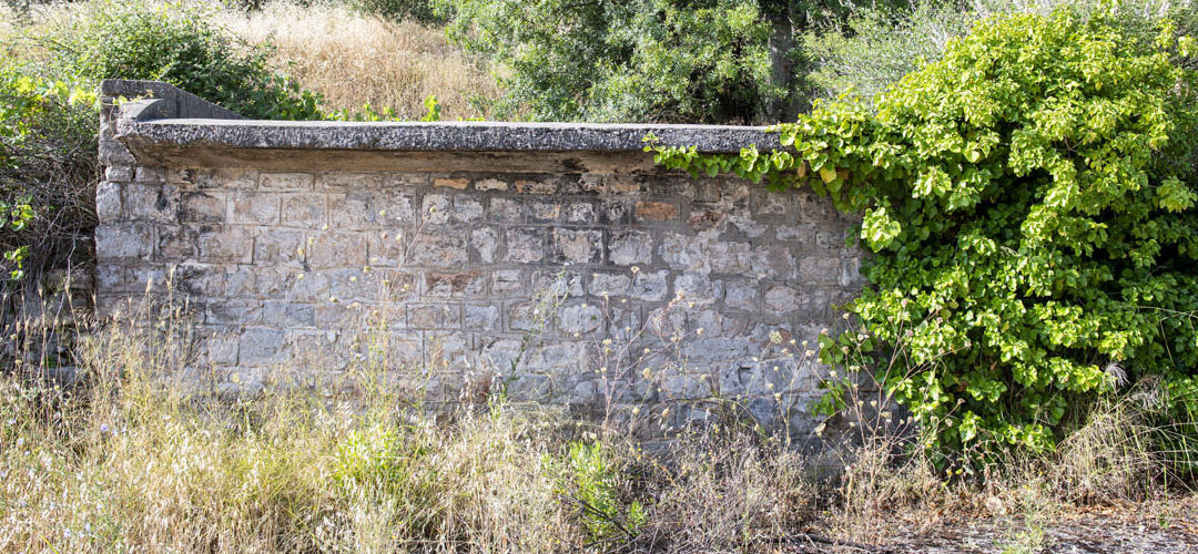 Εγκατάλειψη σταφυλοδόχων