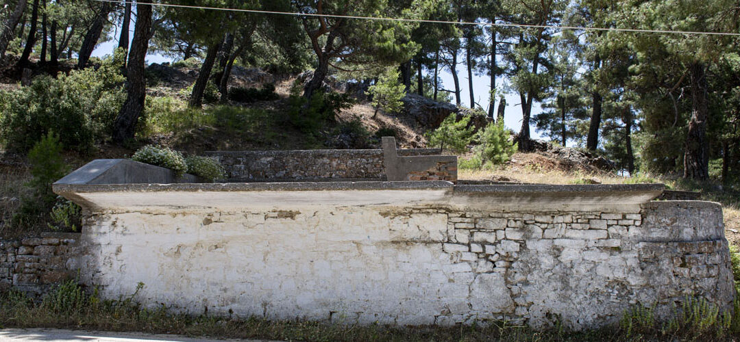 Σταφυλοδόχος Μεσογείου, Θέση «Θυμαριά»