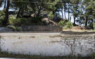 Σταφυλοδόχος Μεσογείου, Θέση «Θυμαριά»